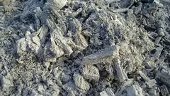 Por que aplicamos cinzas incorretamente no jardim: 3 erros na aplicação que as plantas não apreciam — e o solo também. E quando ela não é útil