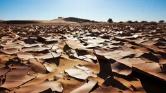 Um ecossistema oculto foi descoberto sob o deserto mais quente da Terra
