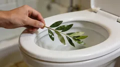 Por que donas de casa experientes colocam folhas de louro no vaso sanitário durante todo o dia: um truque curioso que poucos conhecem